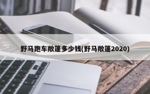 野马跑车敞篷多少钱(野马敞篷2020)